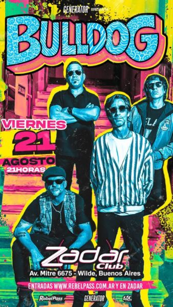 Bulldog en zadar club wilde